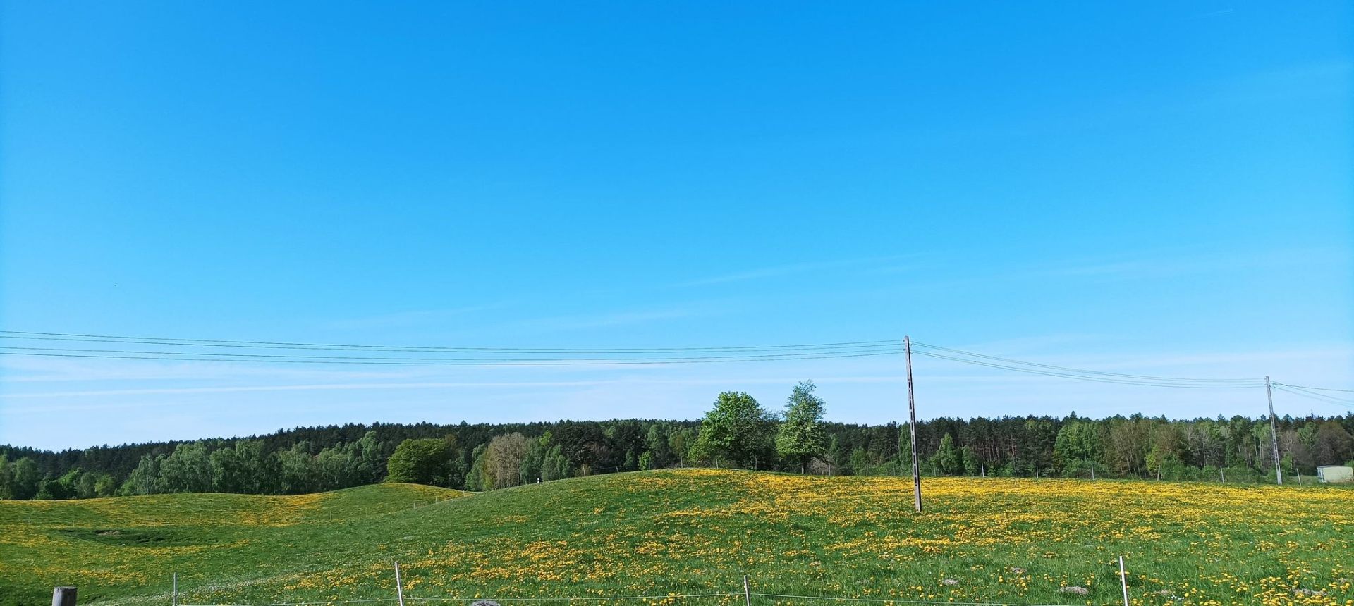 Łąka i niebo nad Mierzeszynem